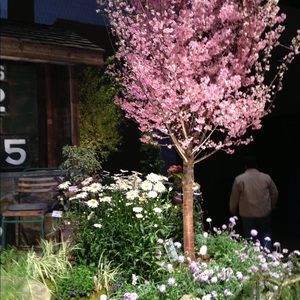 Meet your Posher, Judith